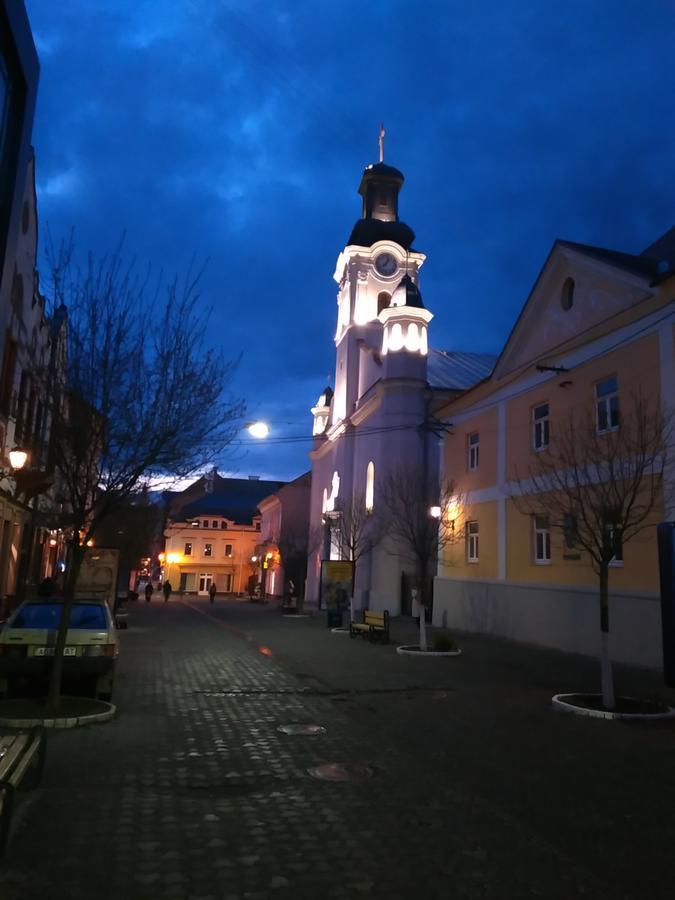 Кімнати В Центрі Hotel Uzhhorod Bagian luar foto